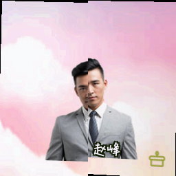 赵峰